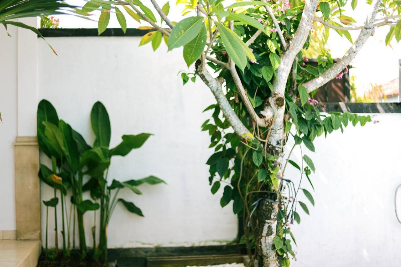 Adi Guest House Canggu Eksteriør bilde