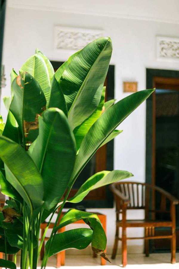 Adi Guest House Canggu Eksteriør bilde